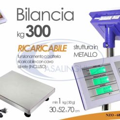 Bilancia Metallo Kg.300 Cm.30X52X70H Div. 1 Kg.-8025569681264