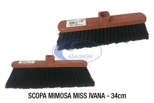 Scopa Mimosa Miss-8003606006690