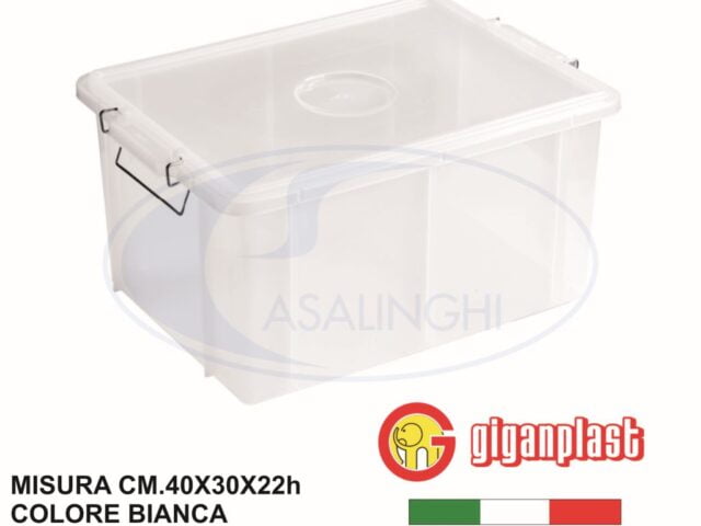 Cassetta Box Con Cop. Cm.40X30X22H Bianca A.1900M-8002942003516