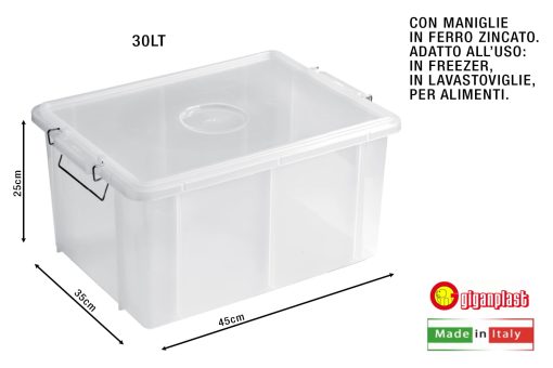 Cassetta Box Con Coperchio Cm.45X35X25H Trasp.-8002942004087