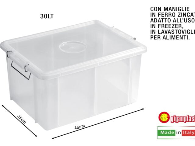 Cassetta Box Con Coperchio Cm.45X35X25H Trasp.-8002942004087