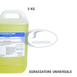 Detergente Sgrassatore Kg.5 Tanica-3999900005710