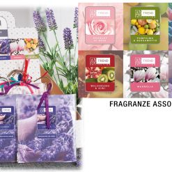 Busta Profumata Con Gruccia Fragranze-8021785479968