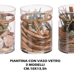 Piantina Con Vaso Vetro Cm.10X13