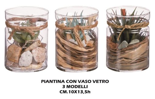 Piantina Con Vaso Vetro Cm.10X13