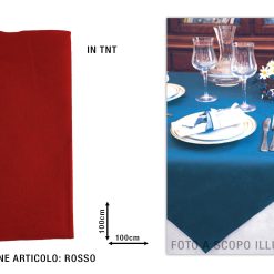 Tovaglia Coprimacchia Tnt 100X100 Set 25 Pz. Rosso-8033757432123