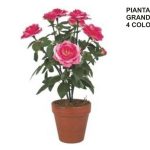 Pianta Rosa Grande 4 Col. Ass. 1 Pz. Materiale Pvc-8052461280813