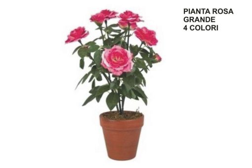 Pianta Rosa Grande 4 Col. Ass. 1 Pz. Materiale Pvc-8052461280813