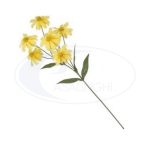 Fiore Stelo Margherite Easy-8031244167732