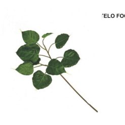 Stelo Foglia-8031244210681