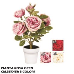 Pianta Rosa Open Cm.35X45H 3 Ass.-8031244323688