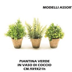 Piantina In Vaso Verde Cm.21H Ass.-8034052523844