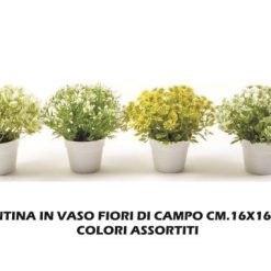 Piantina Fiori Di Campo Cm.16X16H 4 Ass.-8034052240826