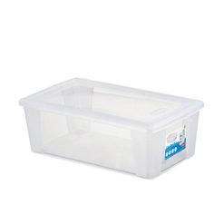 STORAGE VISUAL BOX M CM.32,5X19X11h LT.5 TRASP. (Copia)