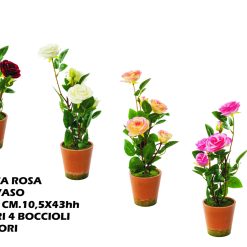 Pianta Rosa Con Vaso Cm.10