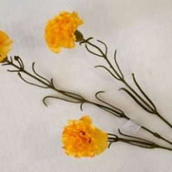 Fiore Stelo Garofano Autunno Ass.-8031244155791