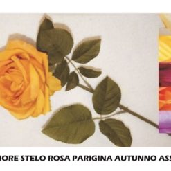 Fiore Stelo Rosa Parigina Autunno Ass.-8031244155913
