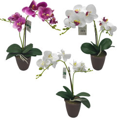 VASO CON ORCHIDEA CM.11X45h 8 FIORI 4 COLORI