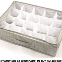 Portaintimo Tnt 20 Scomparti Cm.40X30X10H-8034052428491
