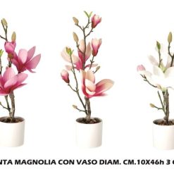 Pianta Magnolia Con Vaso Cm.100X46H 3 Col. Ass.-8021785748873