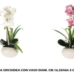 Pianta Orchidea Con Vaso Cm.16