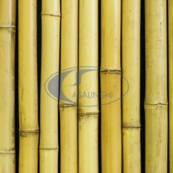 Canne Italia Mt. 3X3-3222200006010