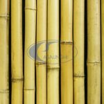Canne Italia Mt. 2X5-