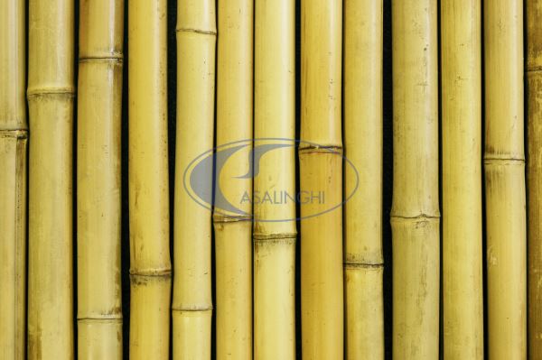 Canne Italia Mt. 2X5-