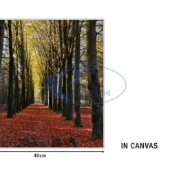 Quadro Canvas Cm.40X40 Dec. Alberi-8006449670066