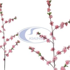 Fiore Di Pesco Grande-8053504242522