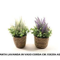 Pianta Con Vaso Corda Cm.15X15X25H Ass.-8034052718882