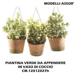 Piantina In Vaso Da Appendere Cm.12X12X27H Ass.-8034052523899