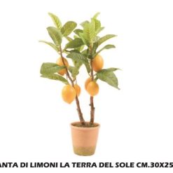 Pianta Di Limoni La Terra Del Sole Cm.30X25X60H-8034052551588