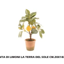 Pianta Di Limoni La Terra Del Sole Cm.20X18X35H-8034052551595