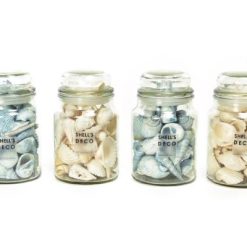 Barattolo Con Conchiglie Profumate Fragr. Marine Cm.10X17