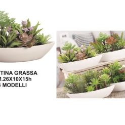 Piantina Grassa Con Vaso Cm.26X10X15H-8021785487208