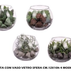 Piantina In Vaso Vetro Sfera Cm.12X10H 4 Ass.-8021785572423