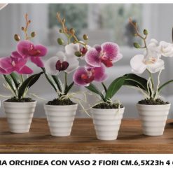 Pianta Orchidea 2 Fiori Con Vaso Cm.6
