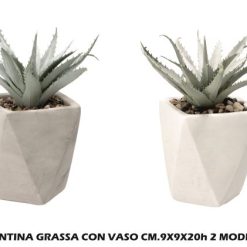Piantina Grassa Con Vaso Cm.9X9X20H 2 Dec.-8021785754133