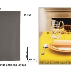 Tovaglia Coprimacchia Tnt 100X100 Set 25 Pz. Grigio-8033757431072