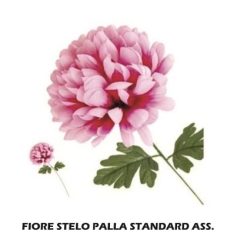 Fiore Stelo Palla Standard Ass.-8031244146850