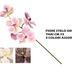 Fiore Stelo Orchidea Thai Cm.73 Ass.-8031244314877