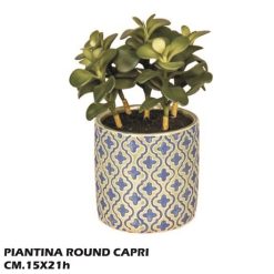 Piantina Round Capri Cm.12X22H-8031244315942