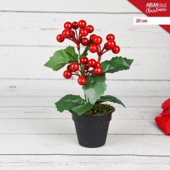 Piantina Con Bacche Cm.20 Vaso Nero-8050767664108