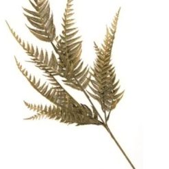 Stelo Felce Everyday Cm.72