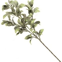 Stelo Season Green Cm.76