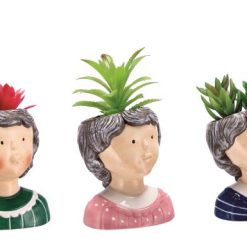 Vaso + Pianta Grassa X Decorazione Cm.9X8X15H 3 Ass.