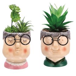 Vaso + Pianta Grassa X Decorazione Cm.10X20H 2 Ass.