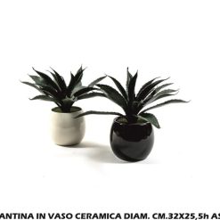 Piantina In Vaso Ceramica Diam. Cm.32X25,5H Ass.