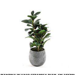 Piantina In Vaso Ceramica Diam. Cm.18X39H